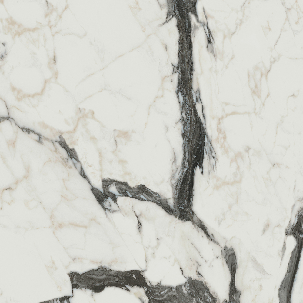 Carrelage Marbre Carrelage marbre Calacatta altissimo blanc